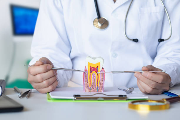 Best Emergency Gum Treatment in Hartford, IL